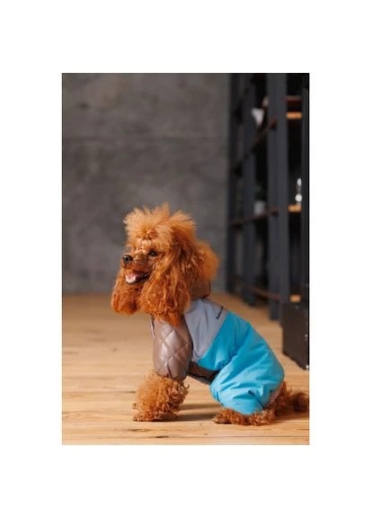 Комбінезон Сharlie ХS для собак Pet Fashion (333020532)