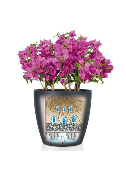 Разумный вазон Classico Color 43 33 л серый 13244 Lechuza (316614852)