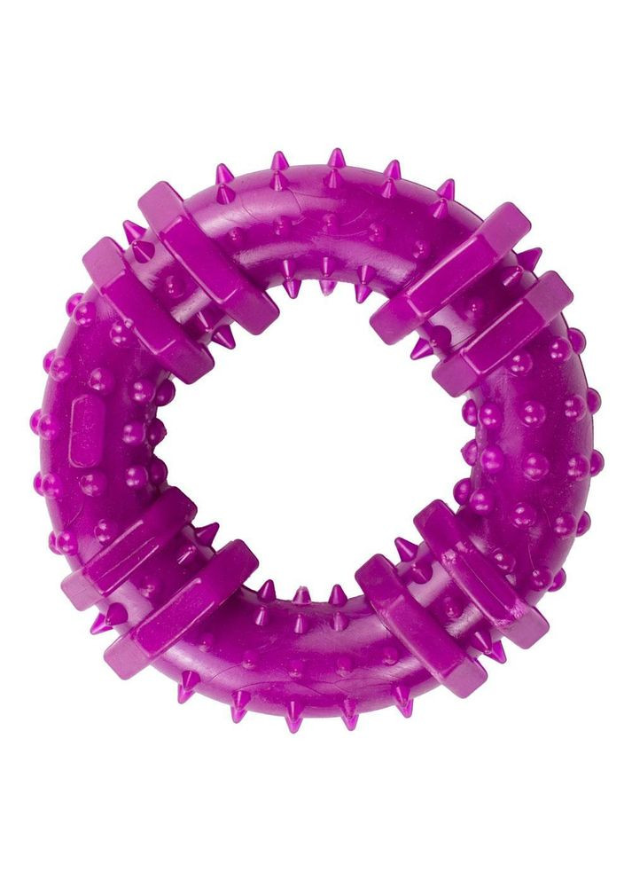 Іграшка для собак кільце з шипами 9 см фіолетове PI0065 AGILITY (278308608)
