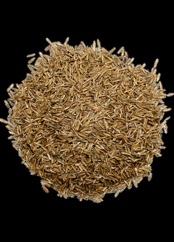 Суміш багаторічних трав для сінокосу Україна (322871652)