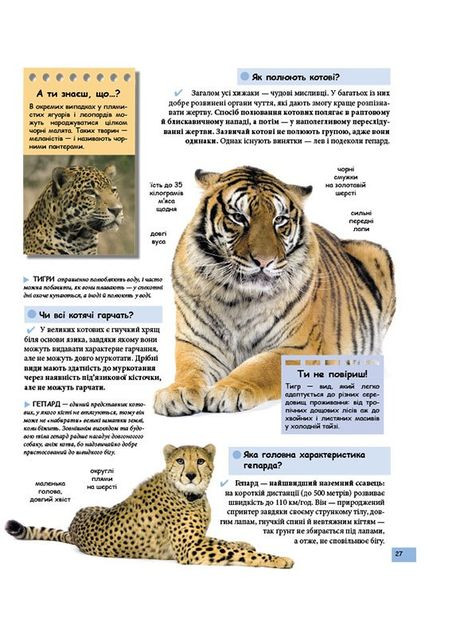 Ілюстрована дитяча енциклопедія у запитаннях і відповідях (9789669473684) Пегас (316084383)