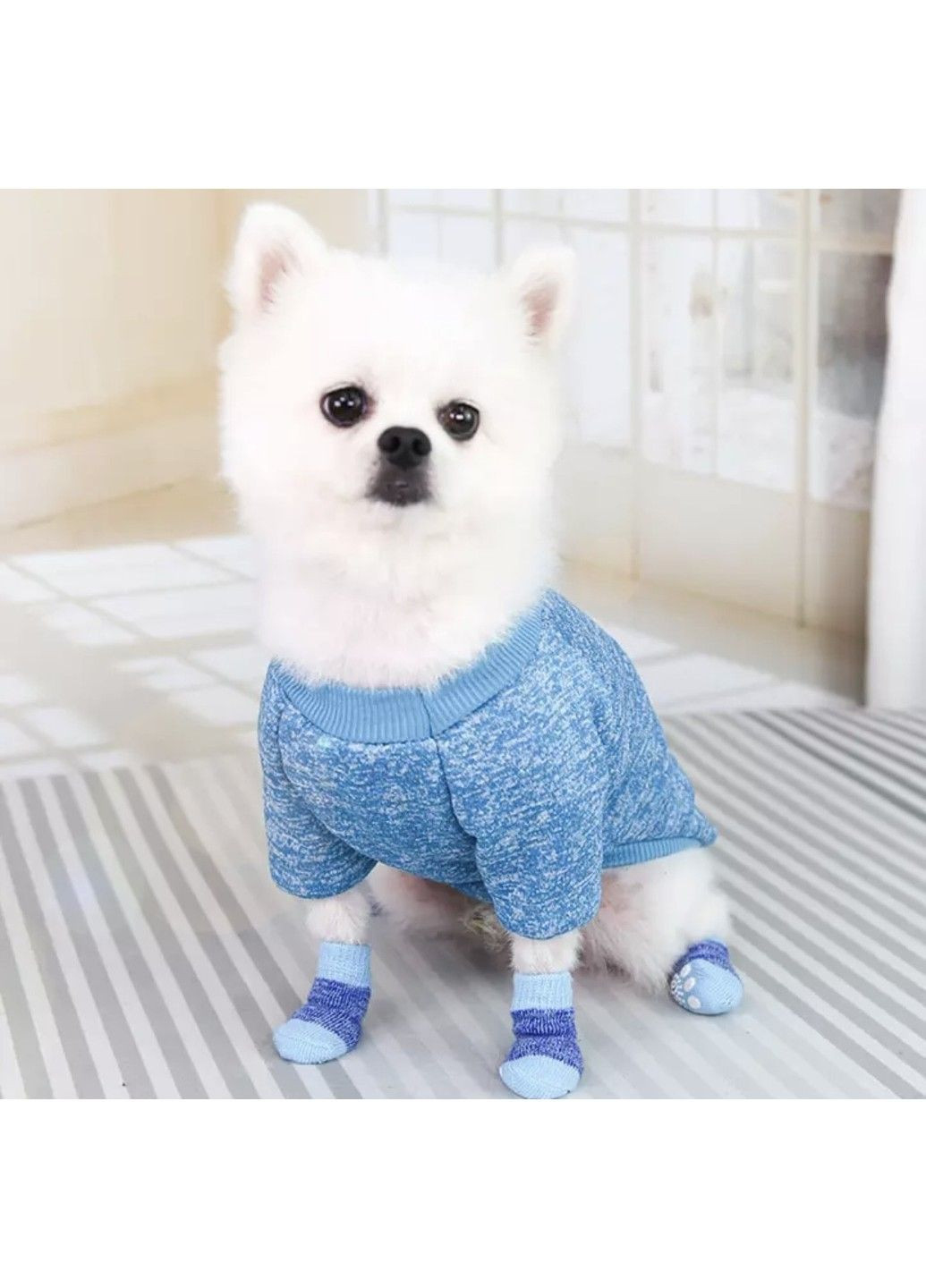 Шкарпетки з антиковзкою для собак бавовна "Blue" Size L Xtep (320953293)