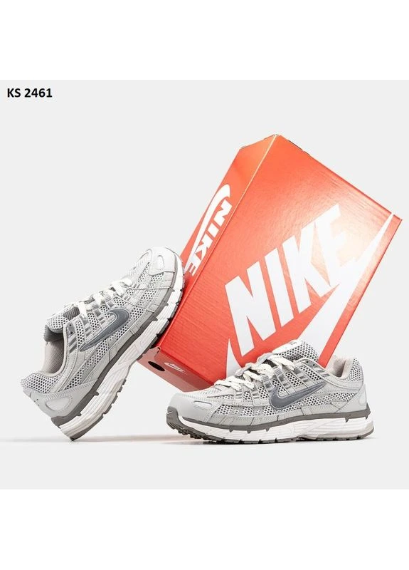КРОССОВКИ ЖЕНСКИЕ NIKE P-6000 LIGHT GRA НАЙК П-6000 No Brand комбинированные демисезоны (391064221)