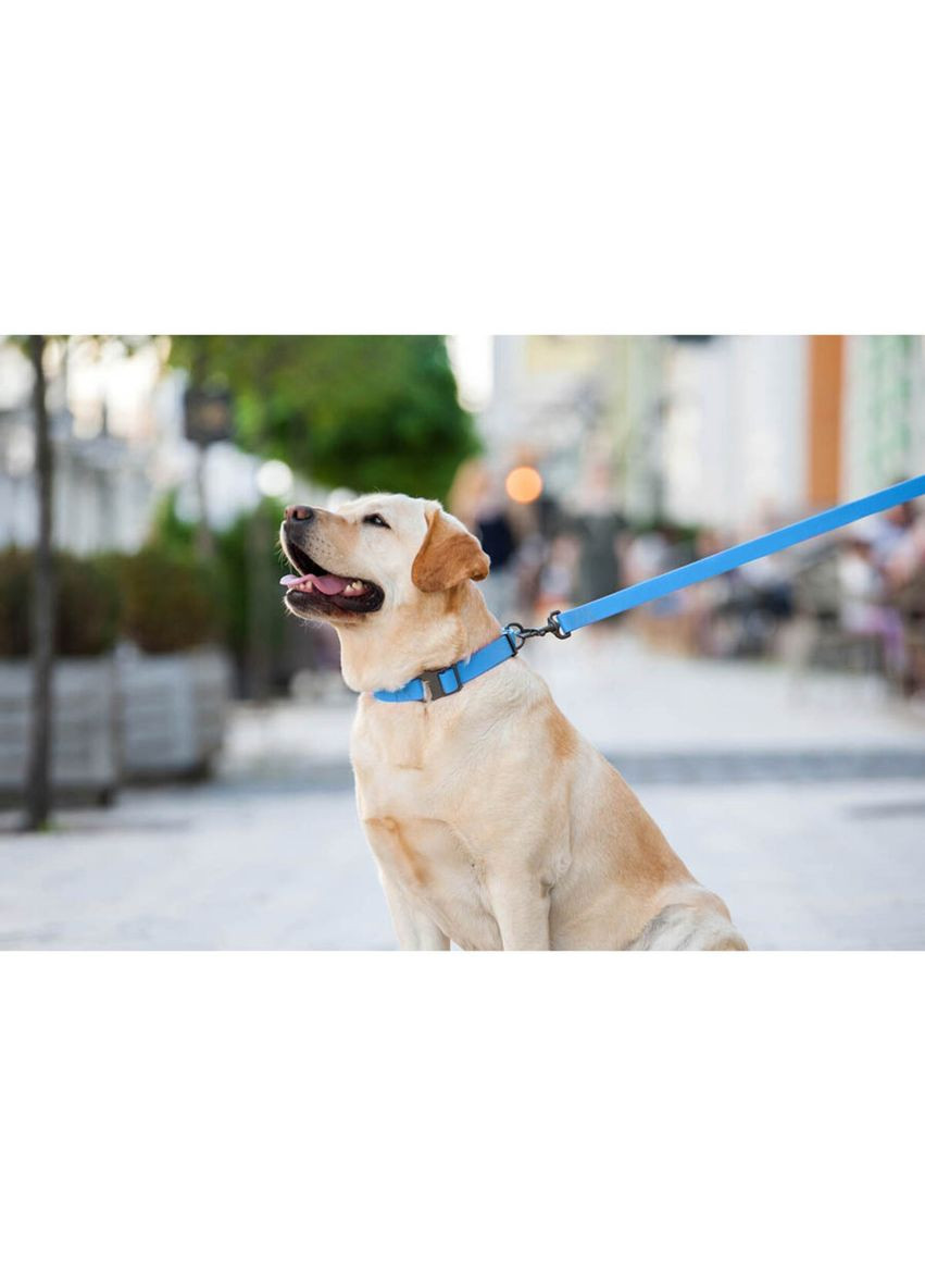 Поводок для собак водостойкий Waterproof, L-XXL, Ш 25 мм, Длинна 122 см голубой WAUDOG (322642009)