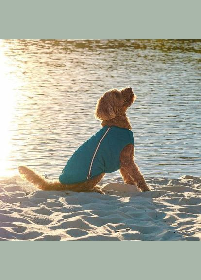 Жилет «E.Vest» для собак, розмір, морська хвиля (*) Pet Fashion (323153540)