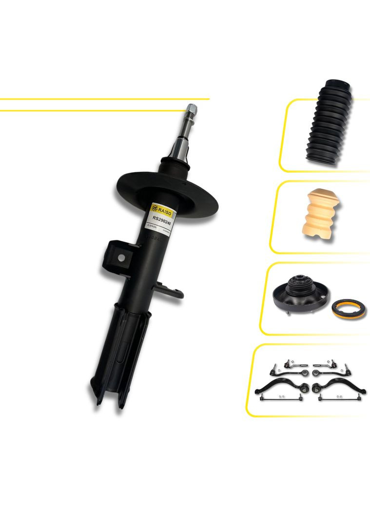 Комплект передньої ходової (Швеція) на BMW X5 E53, БМВ Х5 Е53 00-06 #RL290240KIT UAFOKJF22 Raiso (361231797)