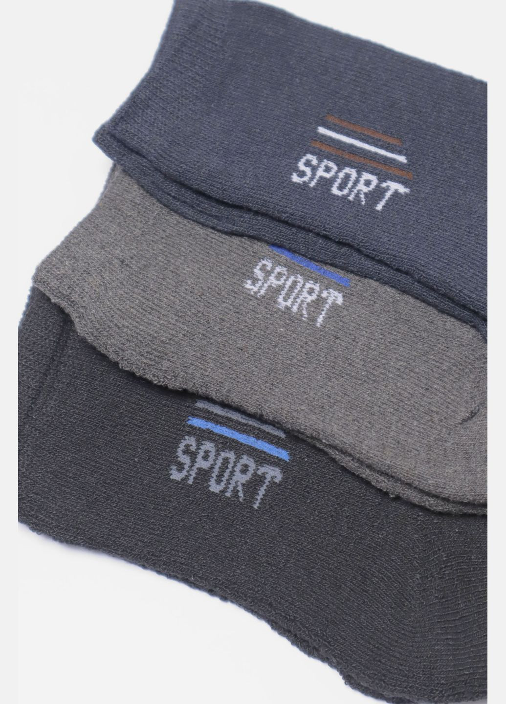 Комбинированные набор носков мужских махровых 3 штуки Let's Shop однотонные (304726499)