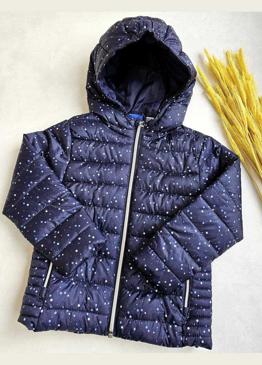 Темно-синяя демисезонная куртка демисезонная с капюшоном Lupilu Куртка