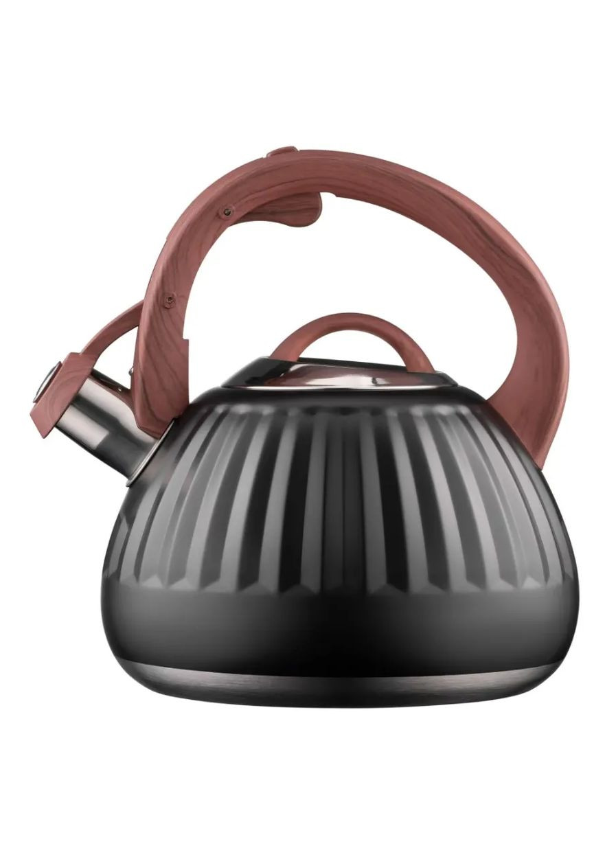 Чайник металевий Gemini 2.5 л (AR1958KS) Ardesto (360411524)