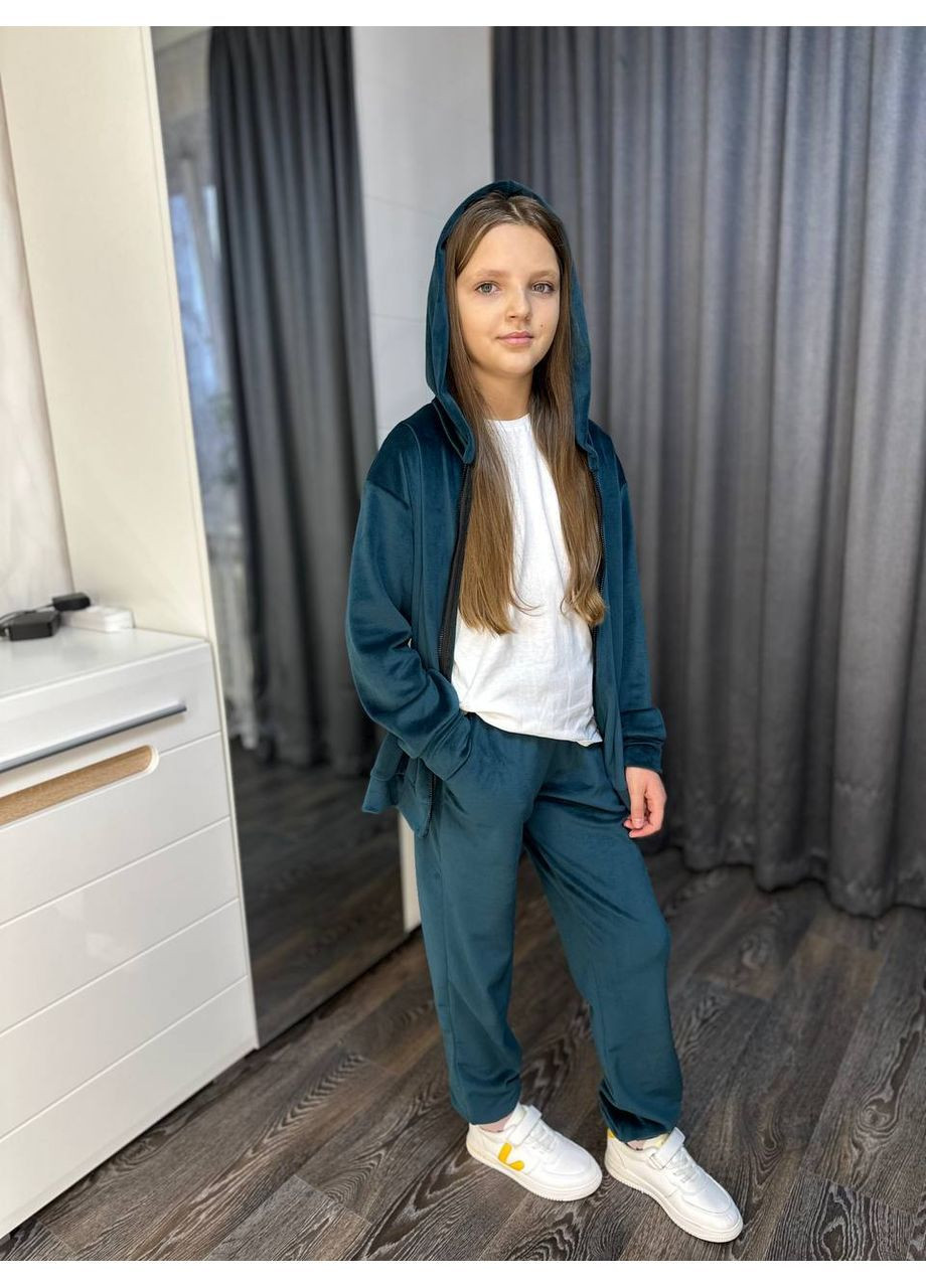 Теплый велюровый костюм с начесом на девочку Nositi 008-1-200-550 (370299403)