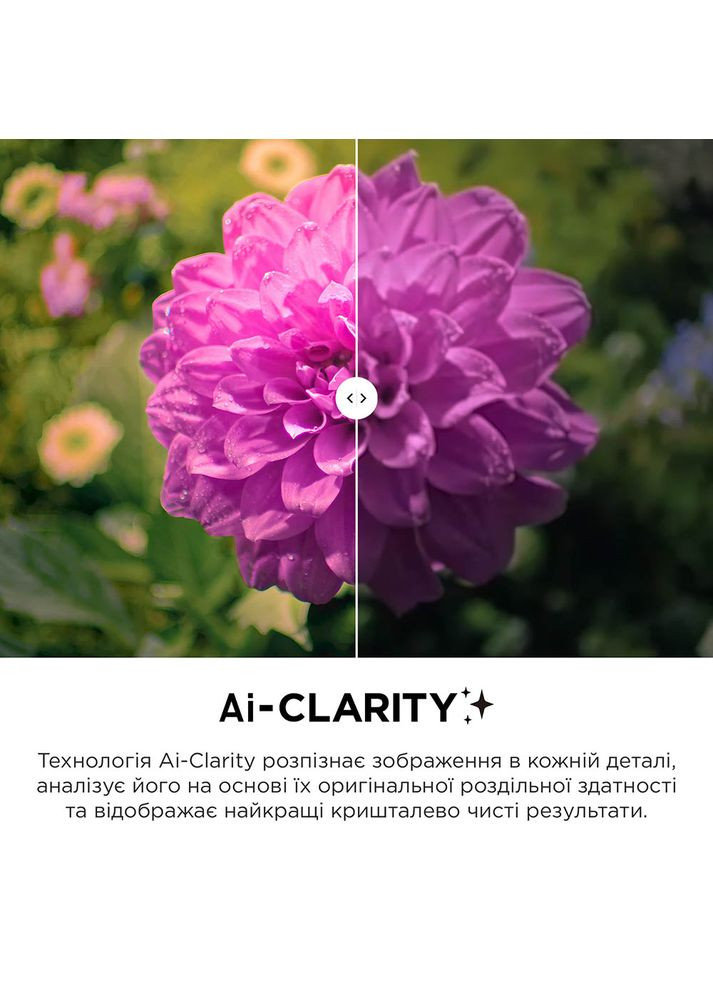 Телевізор 98C805 TCL (306746482)