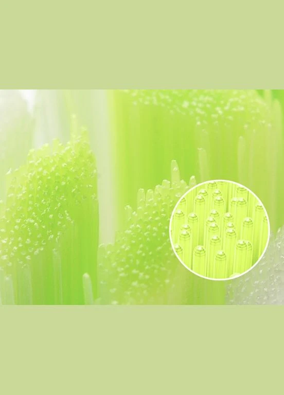 Насадка P1C1 W06 Plaque Control Біла 6 шт. змінних насадок для зубної щітки xiaomi toothbrush облін Oclean (300158939)
