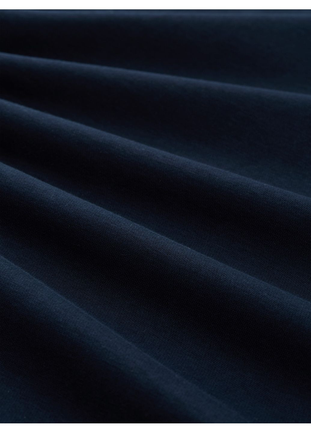 Синие спортивные демисезонные брюки Tom Tailor