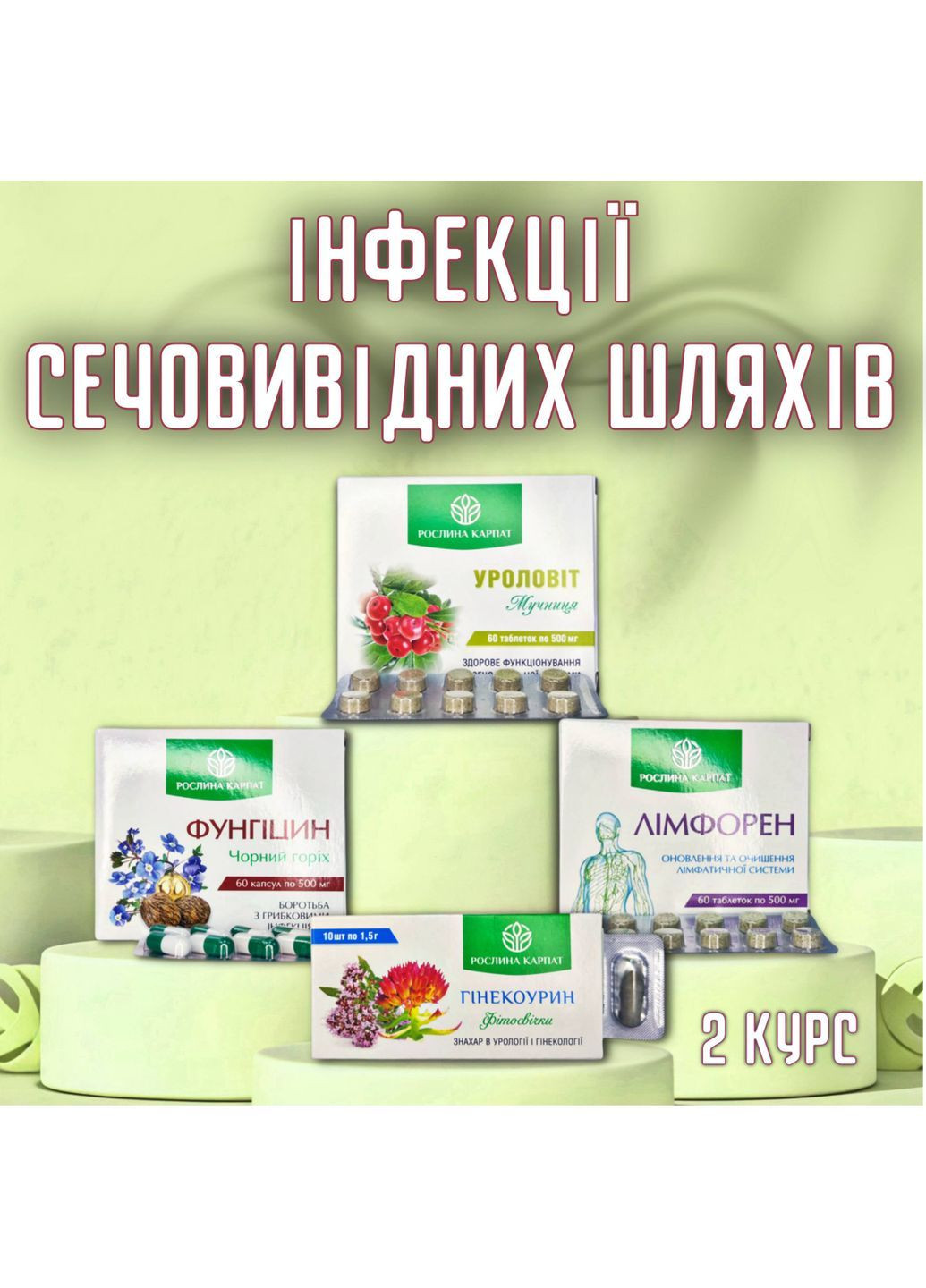 ІНФЕКЦІЇ СЕЧОВИВІДНИХ ШЛЯХІВ (Програма-2) Рослина Карпат (373017446)