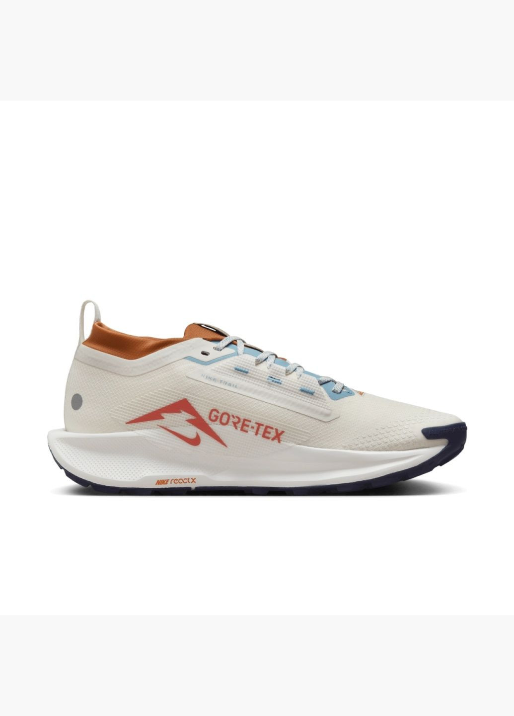 Бежеві кросівки чоловічі pegasus trail 5 gore-tex beige fq0908-003 Nike