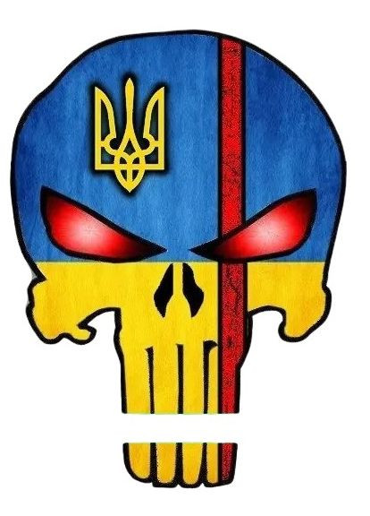 Шеврон патч "Каратель Punisher" зі шрамом та гербом (morale patch) Зробимо будь-який шеврон! No Brand (284119959)