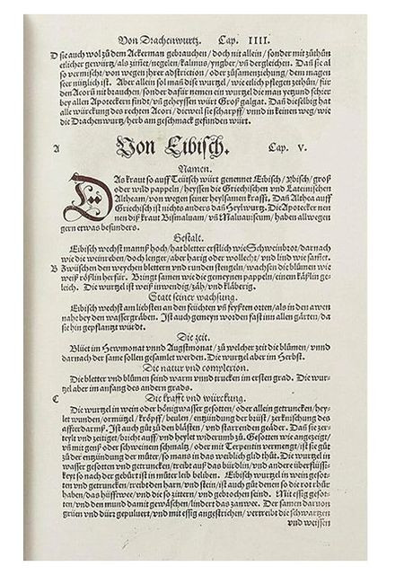 Книга Leonhart Fuchs. The New Herbal (9783836587662) Taschen (364654043)