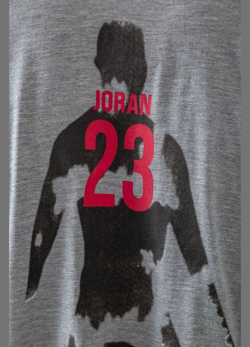 Сіра футболка чоловіча з принтом,, 244r7024 Andi