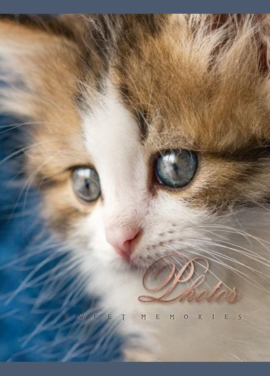 Фотоальбом на 200 фотографій 10х15 см (PP-46200 Cat photo) UFO (329852150)