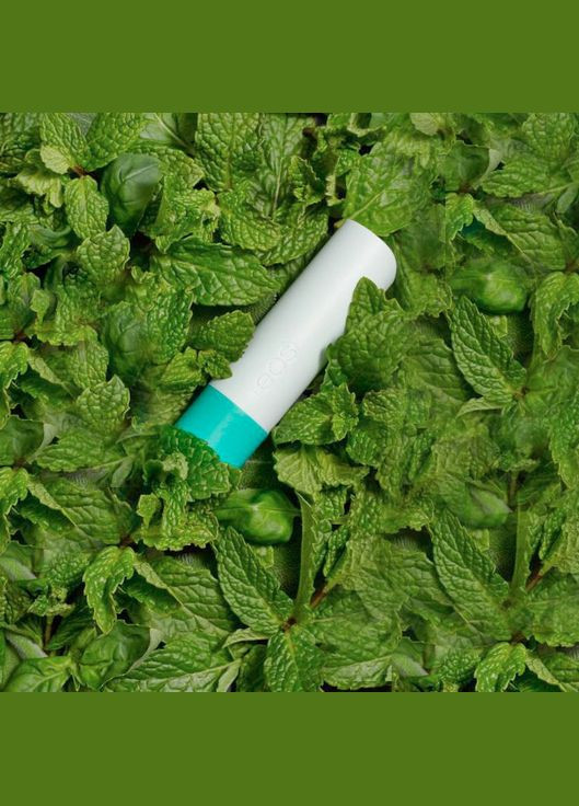 Бальзам для губ у стику Lip Balm Garden Mint flavor Садова м'ята (4 г) EOS (278773636)