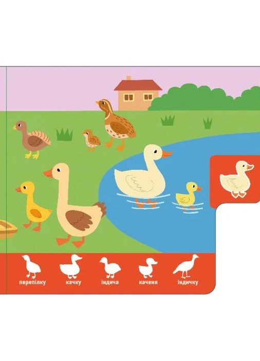 Знайди-но мене! Мами і дитинчата РАНОК (370060412)