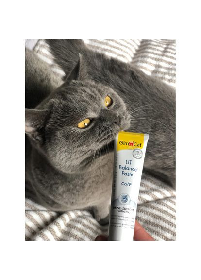 Вітамінна паста Expert Line UT Balance для котів, 50 г (*) GimCat (322773839)