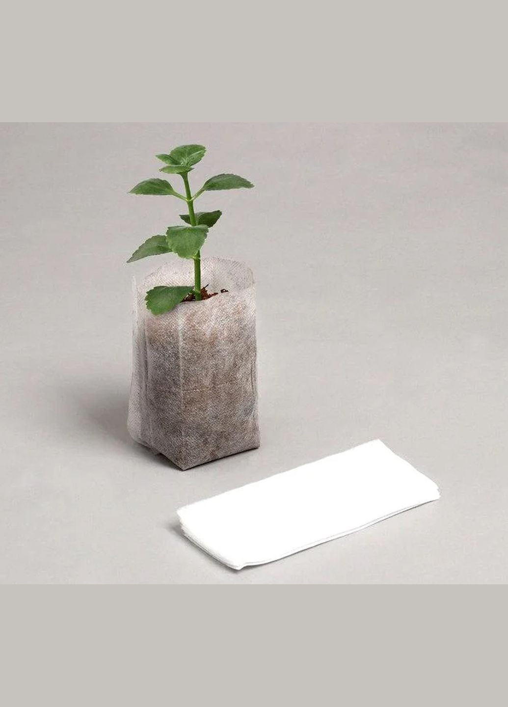 Мішечок для розсади 16х17см No Brand (302806162)