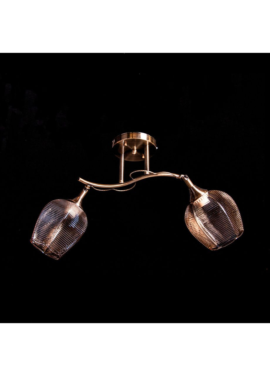 Стельова люстра на 2 лампочки N4730/2/L570*W190*H240 No Brand (352229954)