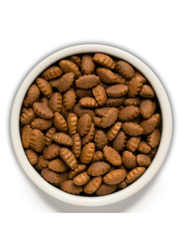 Сухий корм для собак Ягня та індичка для дорослих собак великих порід 10 кг Grandorf (346476317)