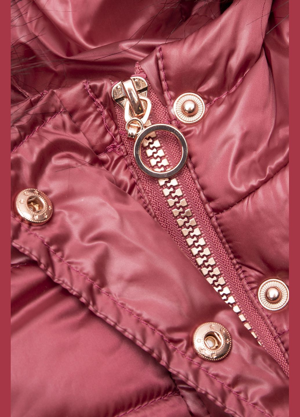 Бордовое зимнее Пальто Coccodrillo