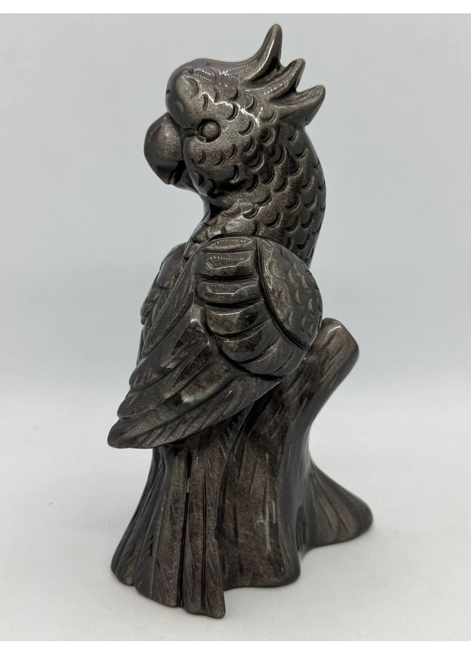 Попугай из обсидиана 260*70*70 мм Черный No Brand (350633880)