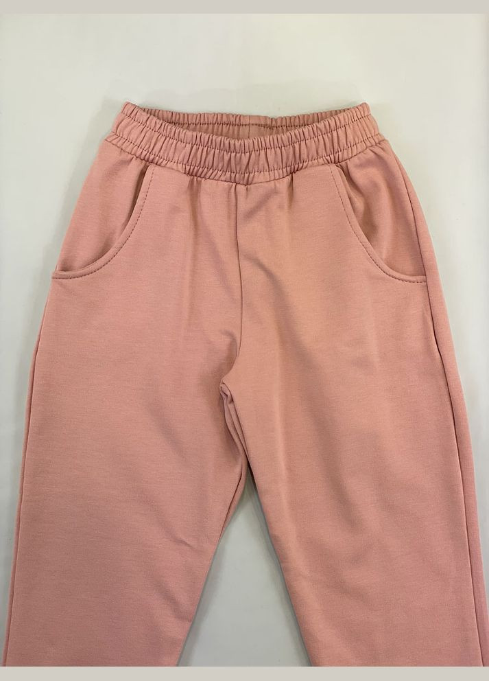 Утепленный спортивный костюм для девочки Фламинго (300000589)