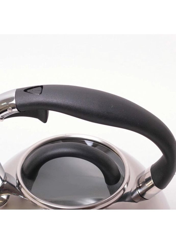 Чайник 2,8л з нержавіючої сталі зі свистком та бакелітовою ручкою 0674 Kamille (296660967)