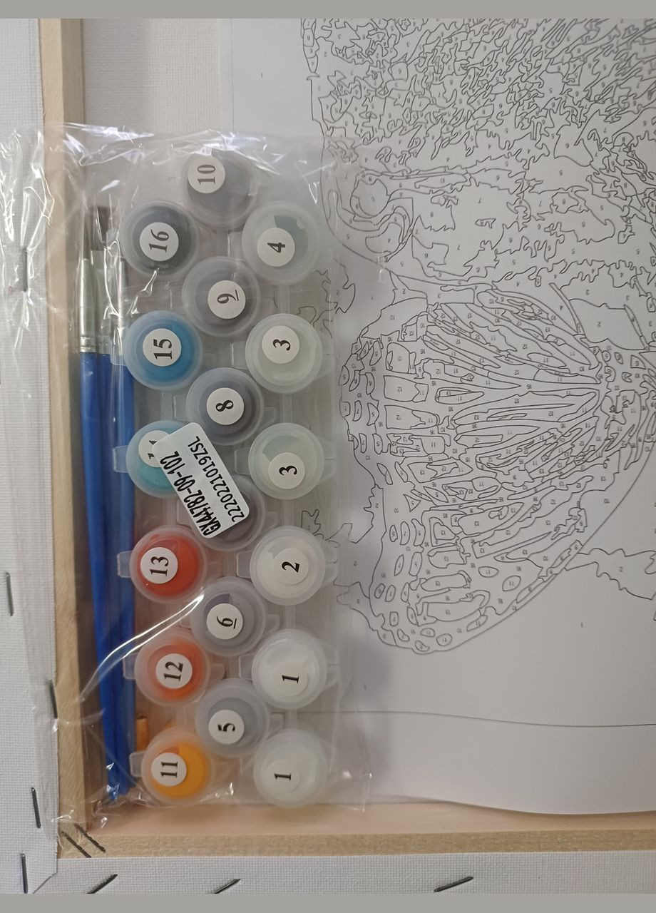 Картини за номерами коти Картини в цифрах Тварини 40х50 Картина-розфарбування по номерах Кішка з метеликом GX44782 Rainbow Art (308989206)