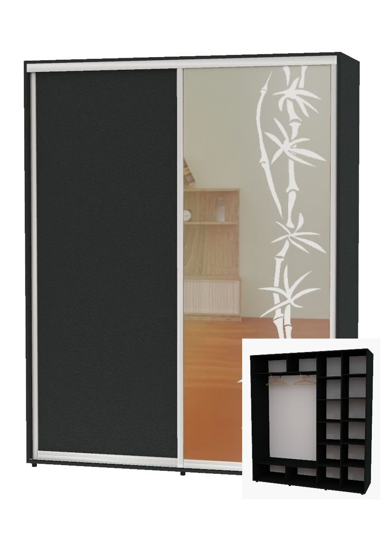 Шафа-купе дводверна 200*45*220 Антрацит ДСП/Дзеркало з піскострумним малюнком Алекса (360464398)