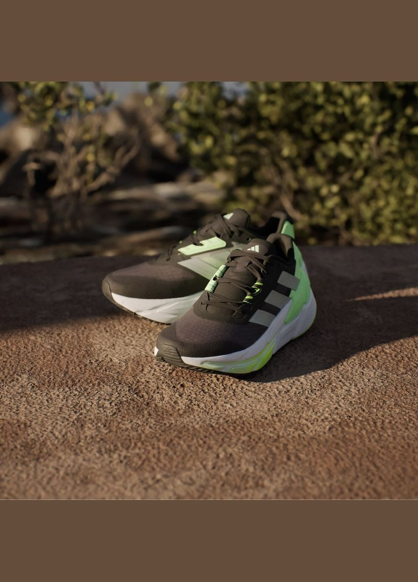 Сірі кросівки adidas Adistar CS 2 ID0367