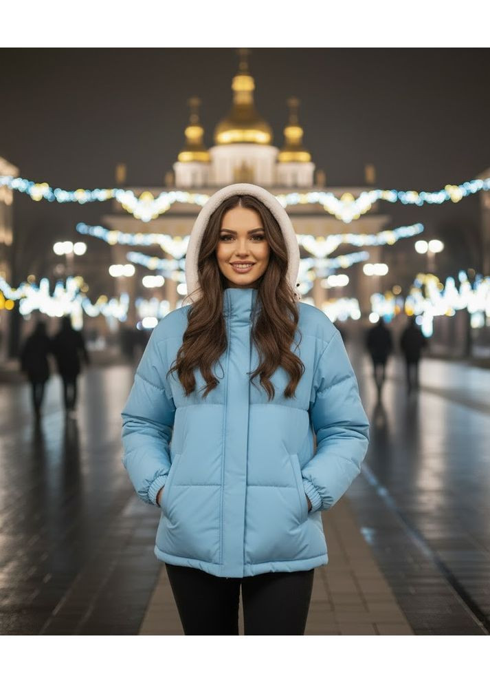 Блакитна зимня зимова куртка на синтепоні з м'яким капюшоном Nositi 4083-15