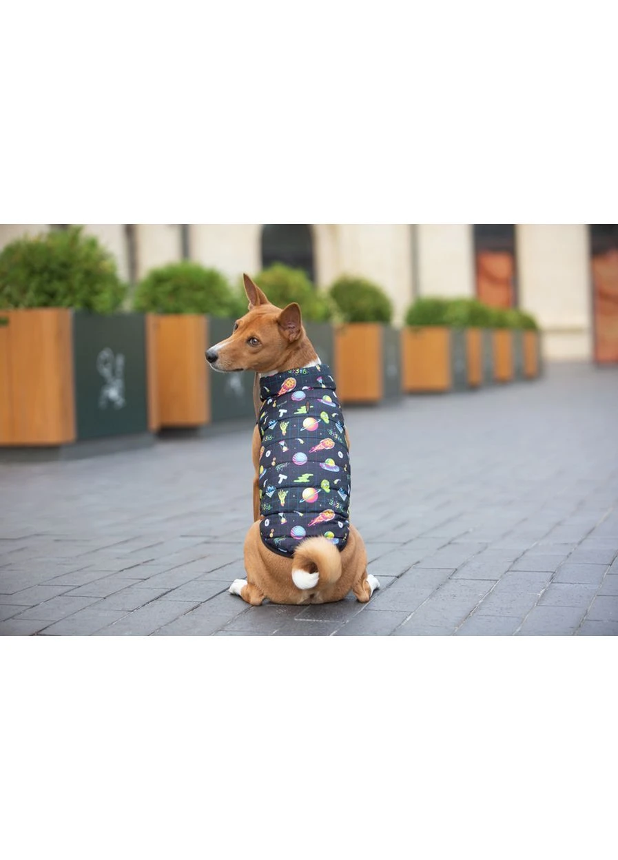Курточка для собак Clothes малюнок "Рік і Морті 2", M50, 76-79 см, З 55-61 см WAUDOG (363113330)