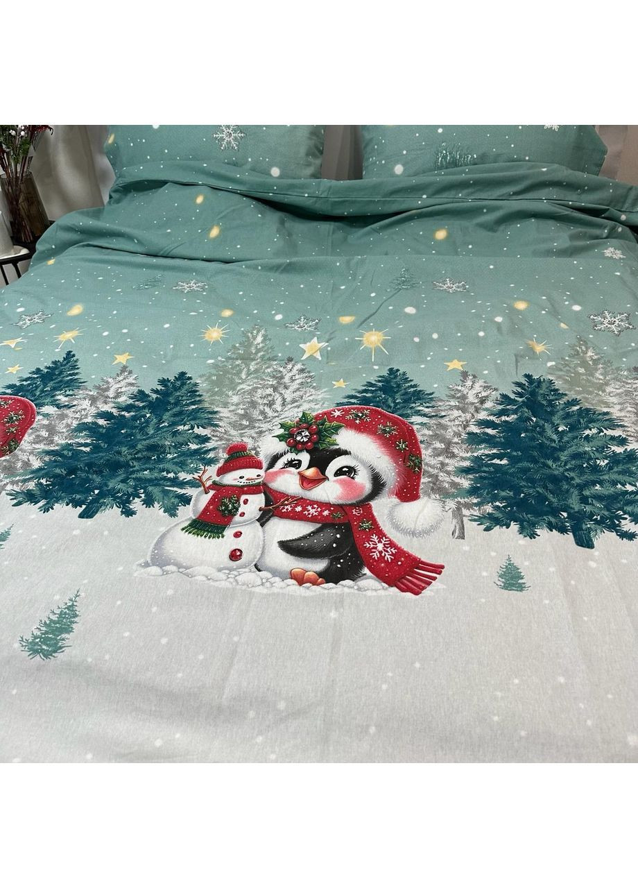 Зимова постільна білизна фланель (байка) півтораспальний розмір бірюзового кольору - м'якість, тепло та новорічний настрій! No Brand (370278912)