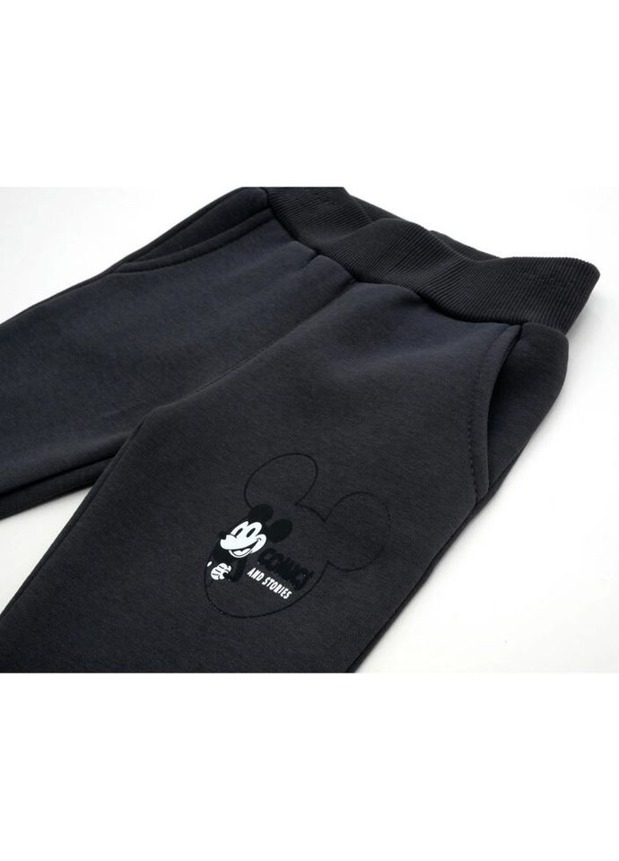 Спортивний костюм флісовий (23163-110B-gray) Smile (300857757)