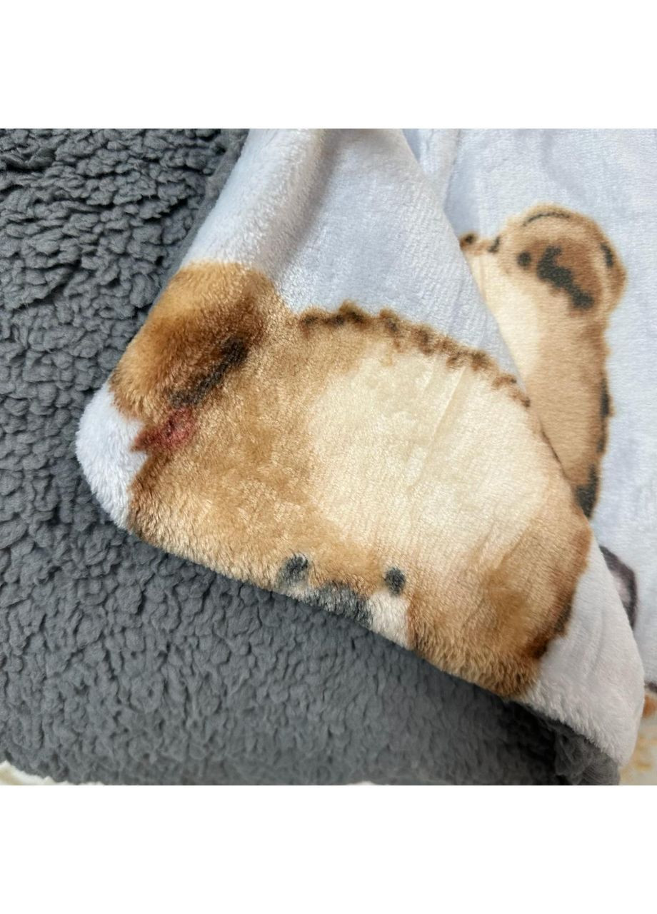 Двосторонній Плед "Comfort & Style" (Велюр + Teddy Fur), розмір 200*220 см сірого кольору з малюнком No Brand (366561123)