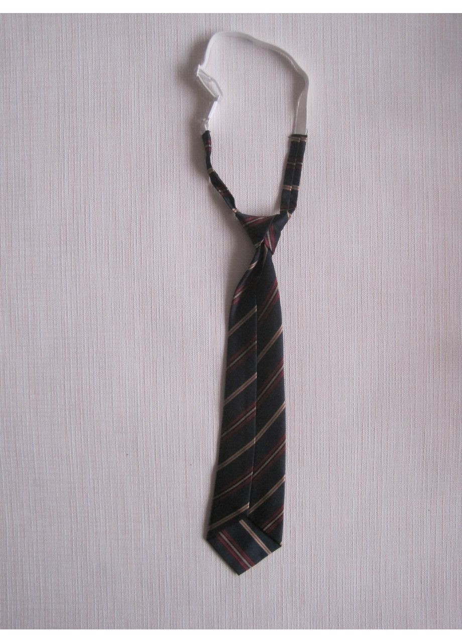 Галстук на резиночке (30к035/1) No Brand (369667341)