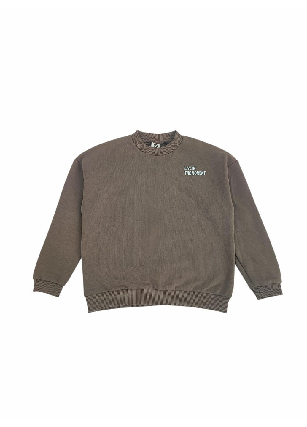 Green Cotton детский свитшот для мальчика кофейный (25111266) надпись кофейный повседневный двунитка