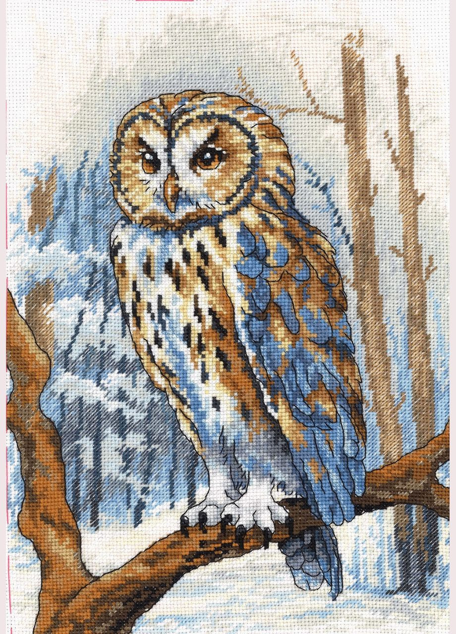 Набор для вышивки мулине ДМС "Мудрая сова", 20х30 см No Brand (340482634)