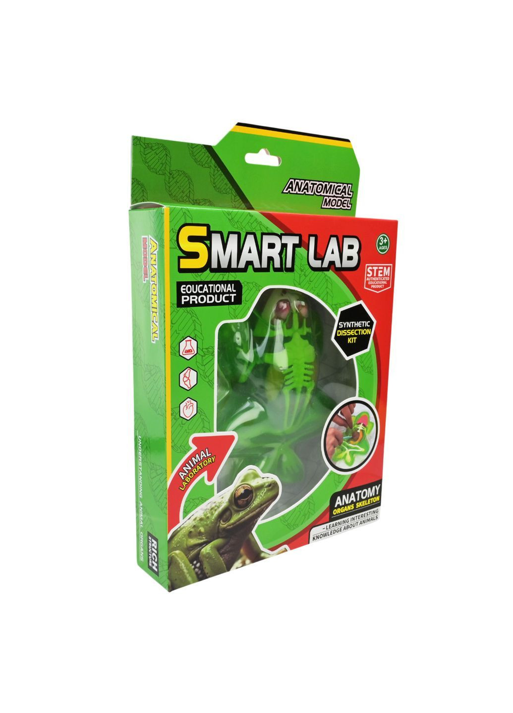 Біологічний набір для експериментів з жабою: скелет і внутрішні органи Smart Lab - No Brand 801B (371926643)