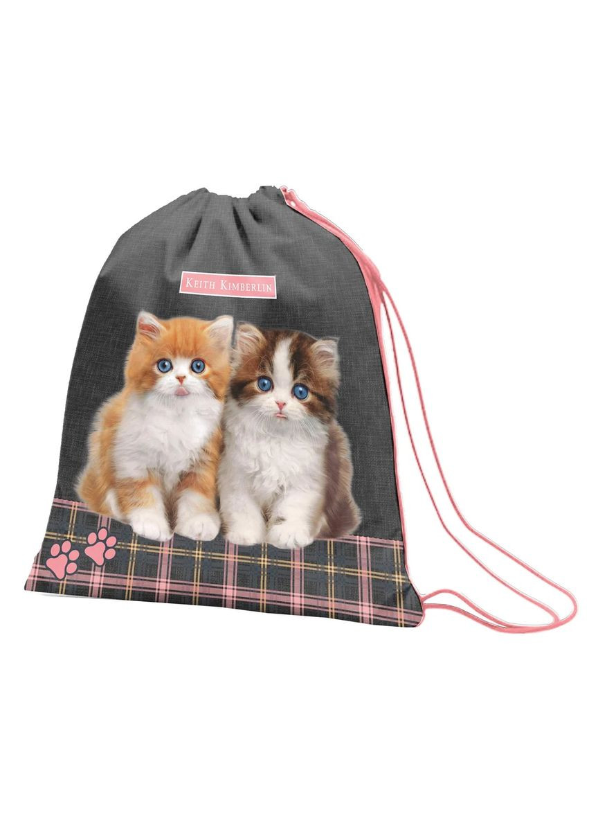 Сумка для обуви 1Сентябрь SB-10 Keith Kimberlin, (557875) 1 Вересня (366213622)