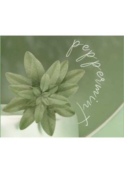 3в1 Rosemary з розмарином 1050 мл REVUELE Набір для зміцнення волосся (368999623)