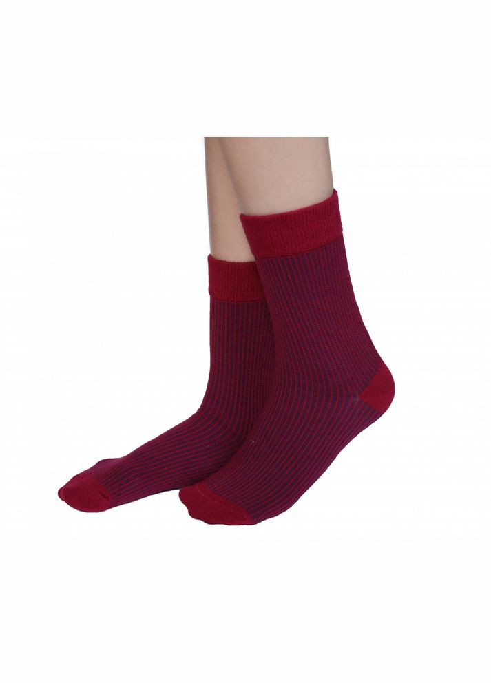 Білі високі шкарпетки у смужку безшовні якісні 100% organic cotton малинові 38-40 JILL ANTONY (314997357)