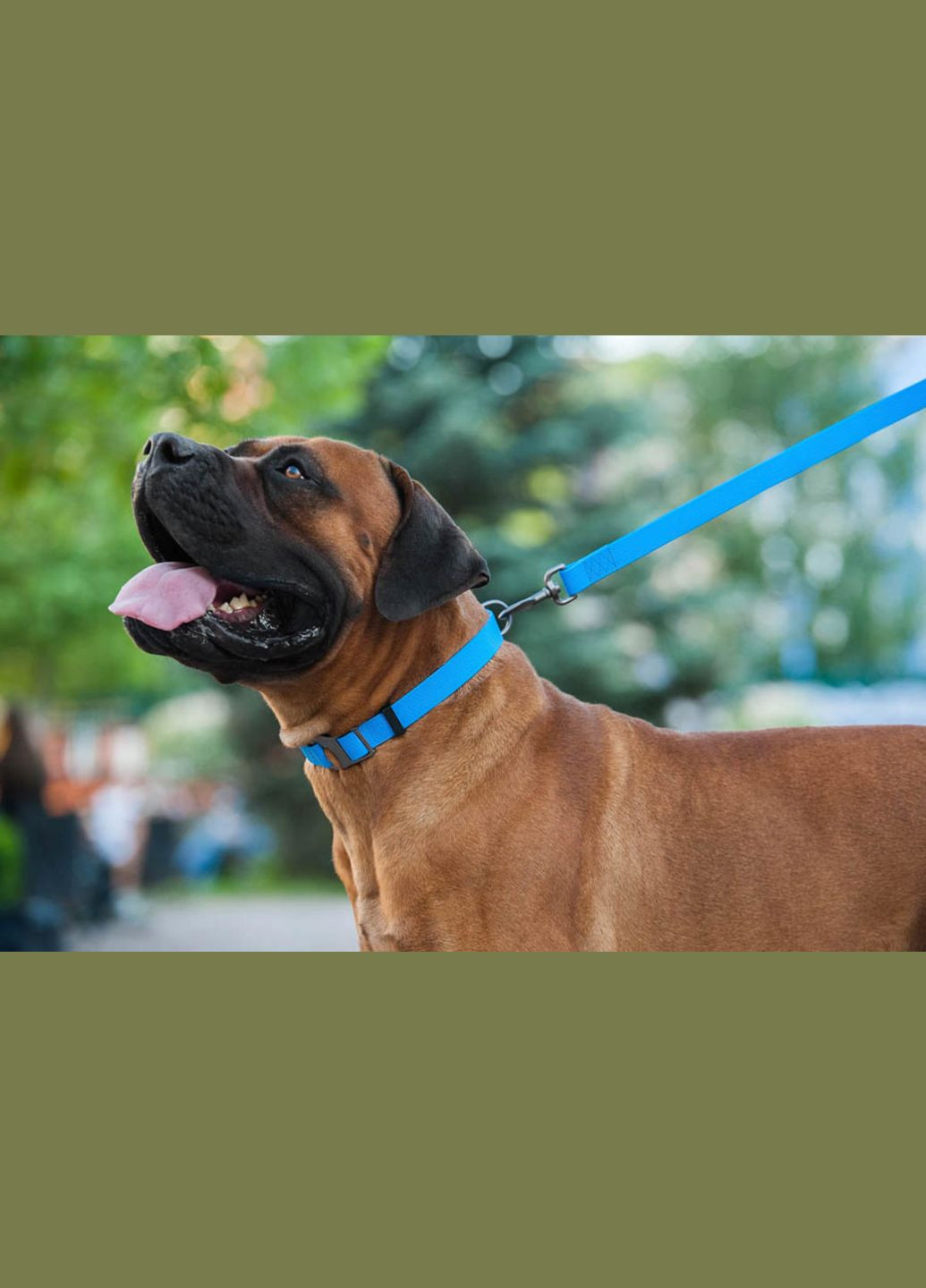 Повідець для собак водостійкий Waterproof Ш 20 мм Д 122 см Блакитний WAUDOG (279566587)