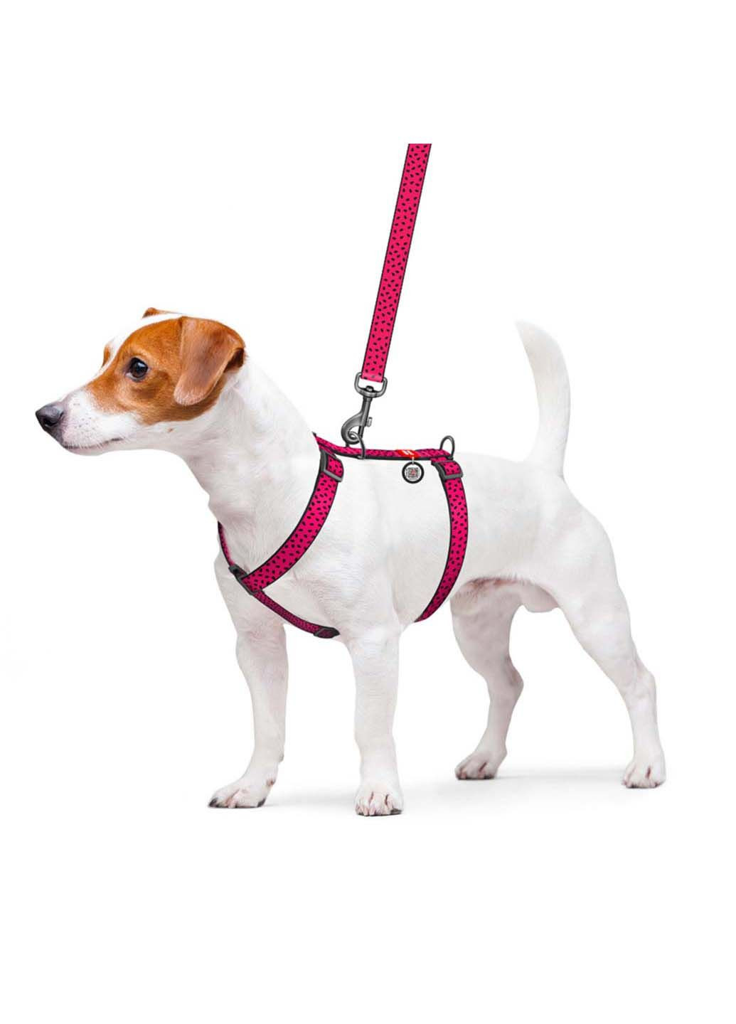 Шлея для собак анатомическая H-образная Nylon Арбуз пластиковый фастекс М Ш 20 мм А 40-70 В 50-80 WAUDOG (292175195)